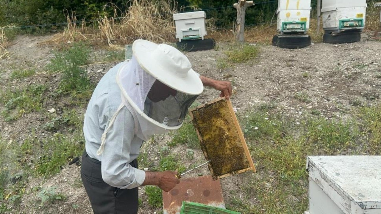 Yola hobi diyerek çıktı: 20 yıldır Avrupa'ya gönderiyor