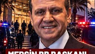 Okyanusta dehşet: Balina çarptı, yat sulara gömüldü! 18 saat sonra kurtarıldılar…