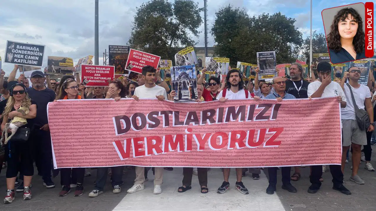 Sokakta yasak, barınakta ihmal, adalette sessizlik: Baskı ve cezasızlık arasında bir ay