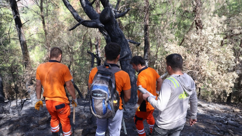 Kozan’da yanan 5 bin 903 hektarlık alanda yeniden Yeşil Vatan mesaisi