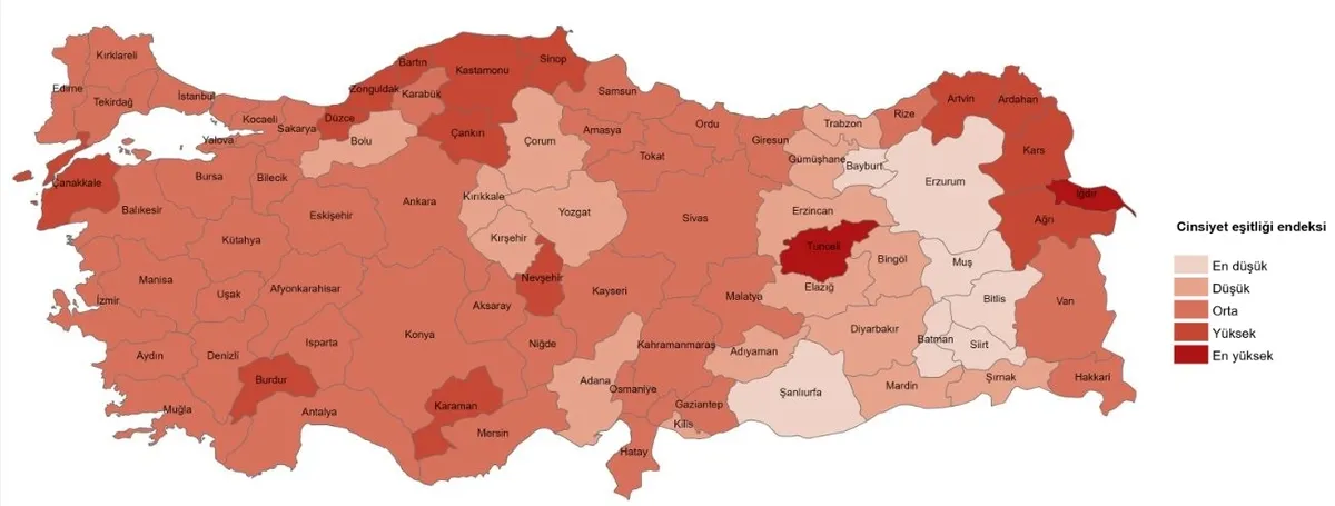 TÜİK verileri açıkladı: Hangi iller eğitimde zirvede? Kadınlar ve erkekler arasındaki fark dikkat çekti