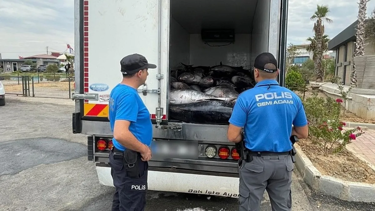 İzmir'de orkinos operasyonu: Piyasa değeri 500 bin TL!