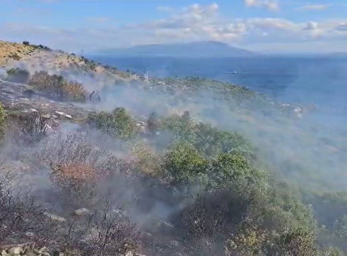 Marmara Adası'nda korkutan yangın