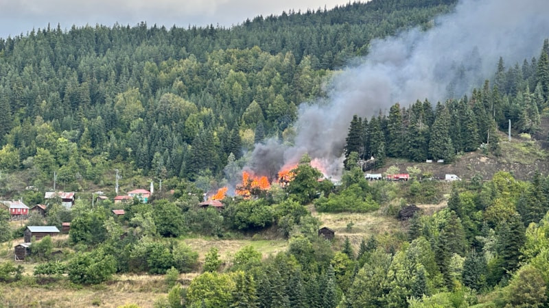 Kastamonu'da köy yangını: Alevler 4 eve sıçradı