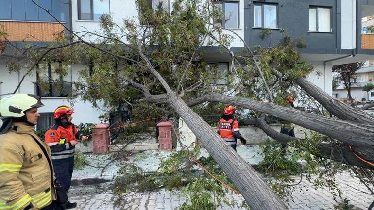 Avcılar’da binaya girmek üzereydi, devrilen ağacın altında kalmaktan son anda kurtuldu