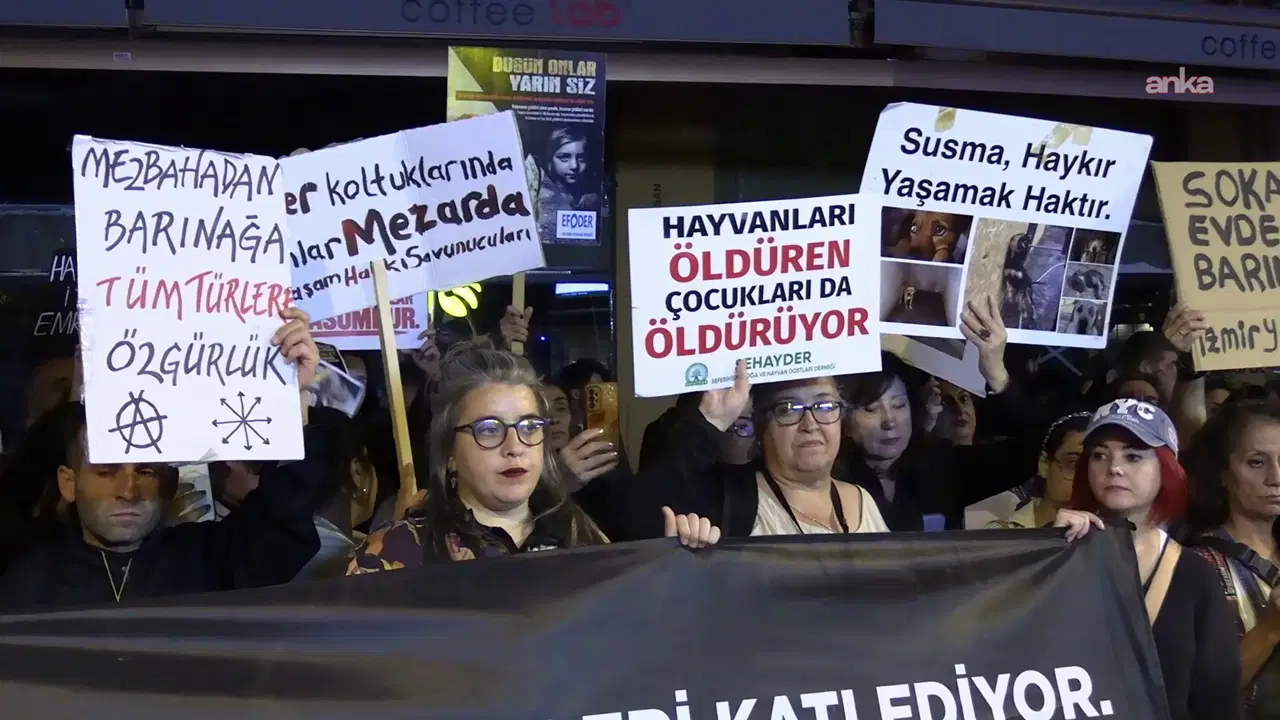 İzmir’de yaşam hakkı savunuculardan 'yeni yasa' çağrısı: 'Toplayan değil koruyan bir yasa istiyoruz'