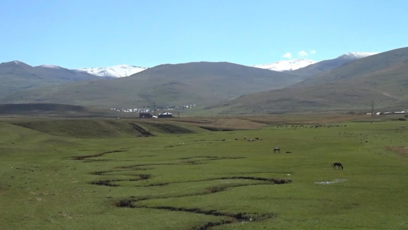 Ardahan'ın yüksek kesimlerine kar yağdı