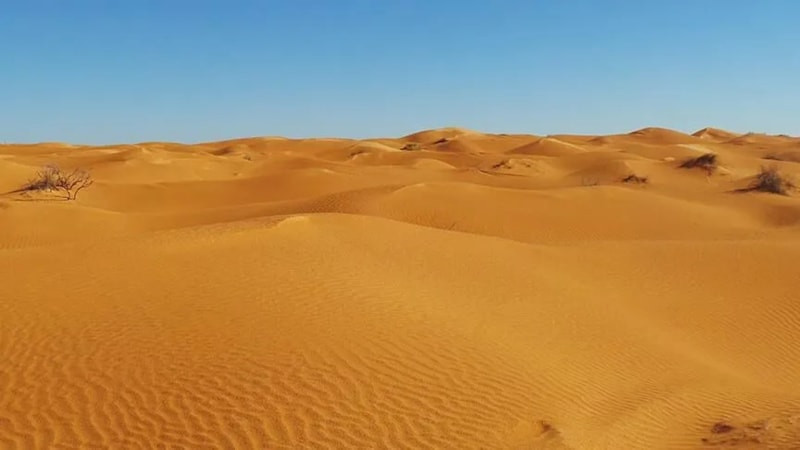 ABD'de yapılan araştırma: El Nino kaynaklı sıcaklarda 450 bin kişi hayatını kaybedebilir
