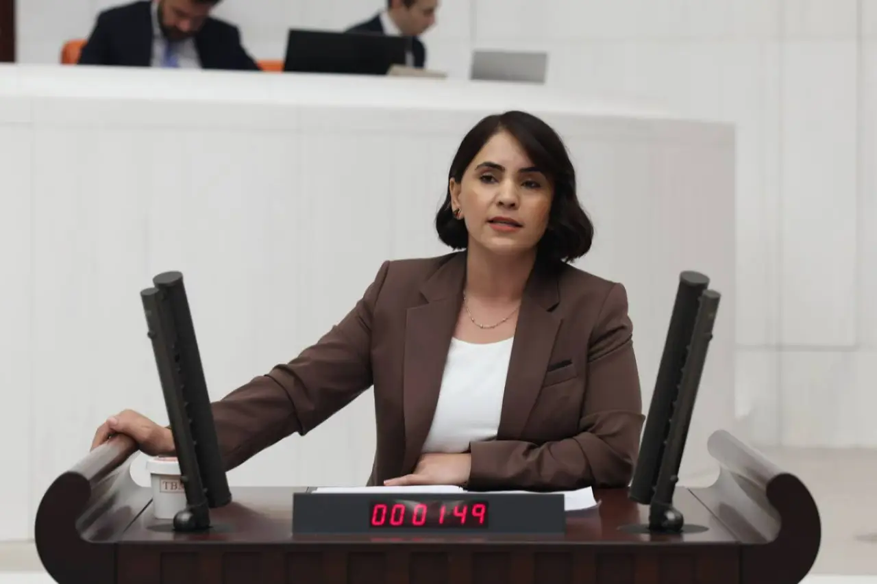 DEM Partili Aslan'dan anadilinde eğitim için Meclis araştırması talebi: 'Engeller kaldırılsın ve çok dilli eğitim modelleri hayata geçirilsin'