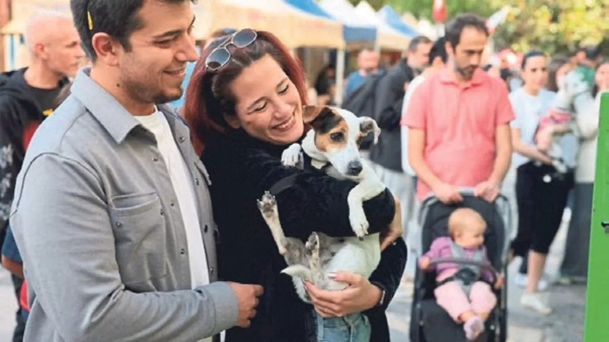 Konak’ta Patilerin Festivali: 13 can dosta ömürlük yuva
