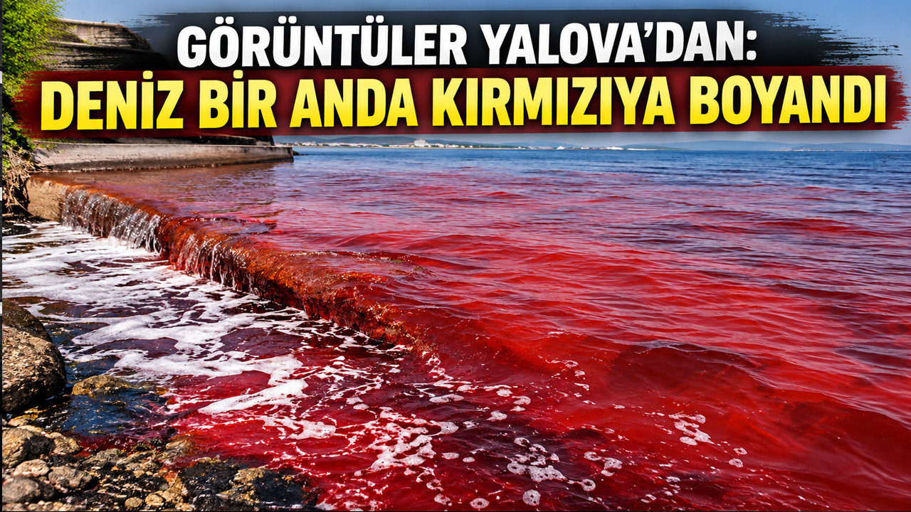 Görüntüler Yalova'dan: Deniz bir anda kırmızıya boyandı