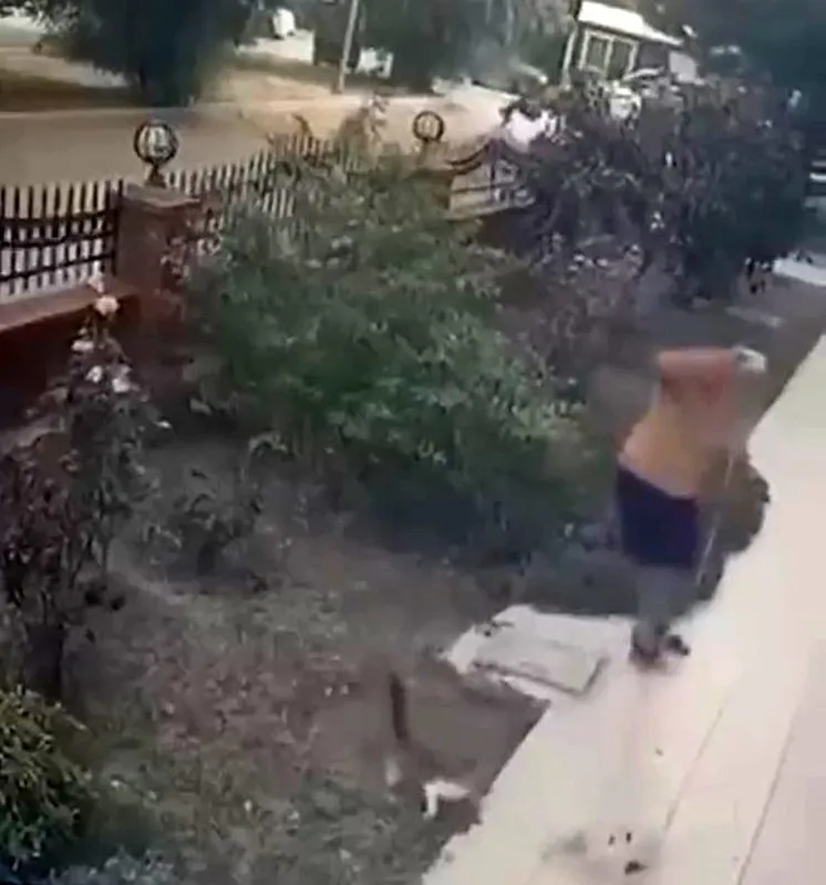 İzmir’de vicdanları sızlatan anlar! Köpeğini gezdiren şahıstan yavrulu kediye tekme