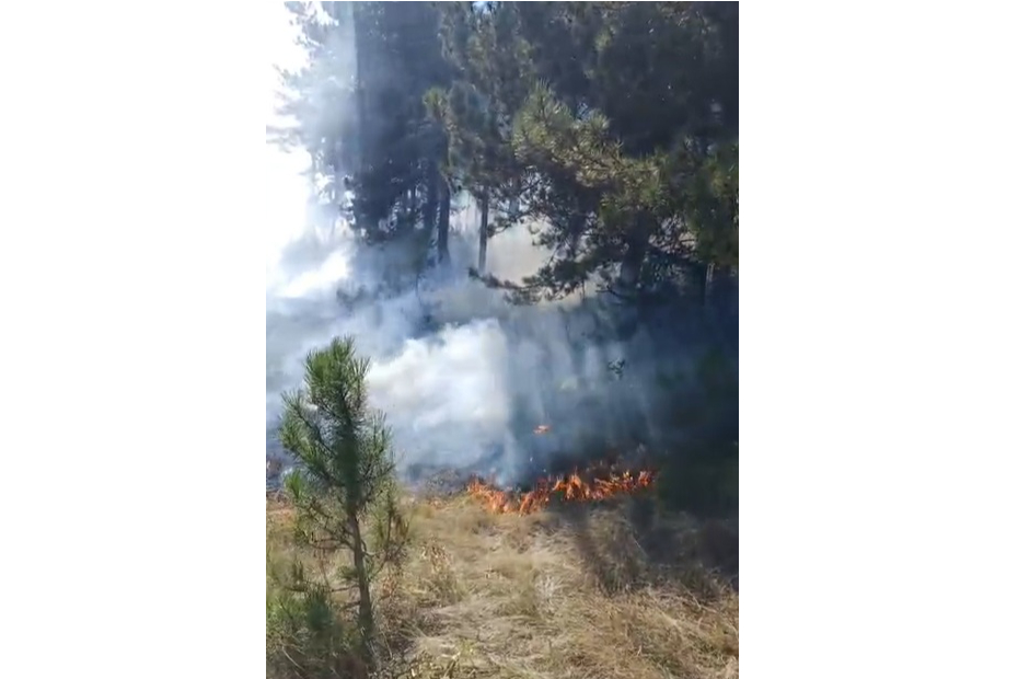 Bolu'da çıkan anız yangınında alevler ormana sıçradı