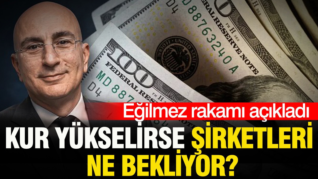 Mahfi Eğilmez rakamı açıkladı: Kur yükselirse şirketleri ne bekliyor?