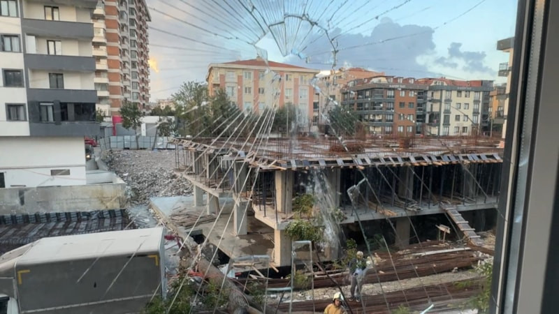 İstanbul'da devrilen ağacın altında kalmaktan kıl payı kurtuldu