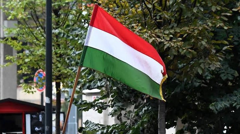 Rusya, Macaristan'ın bazı diplomatik personelinin ülkeyi terk etmesini istedi