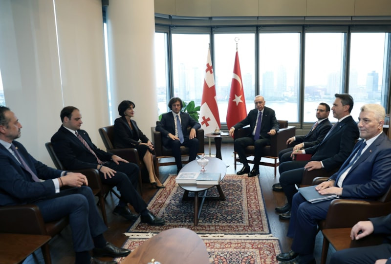 Cumhurbaşkanı Erdoğan, Gürcistan Başbakanı Kobakhidze ile görüştü
