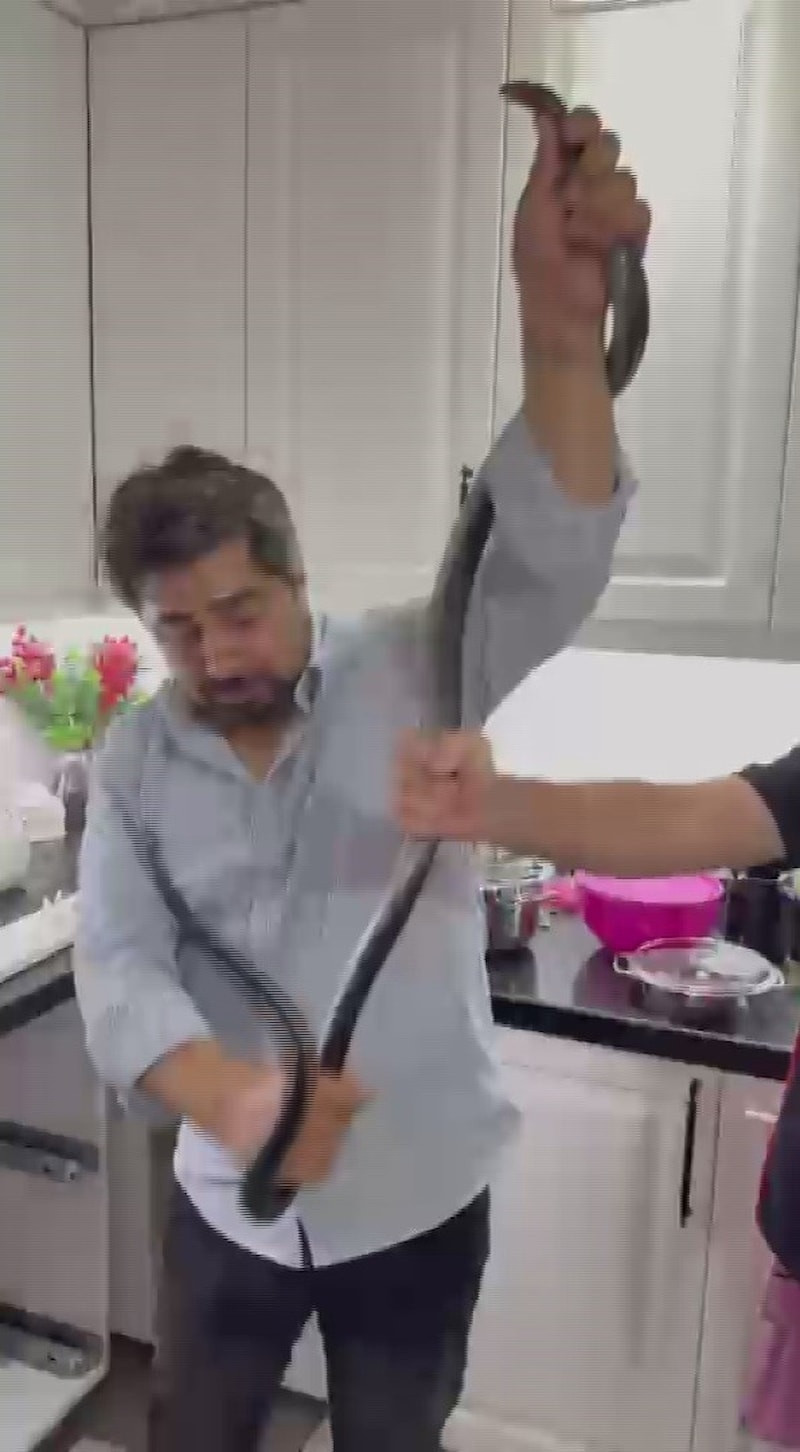 Hatay'da karayılanı elleriyle yakalayan şahıs kamerada
