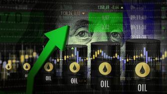 Fon vurgunu hangi ünlü isme uzanacak? Adım adım fon vurgunu nasıl yapıldı? 7 portföy şirketi insanları nasıl soydu?