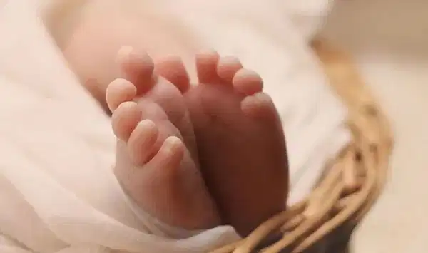 Doğum rapor parası nasıl hesaplanır? Başvuru ve ödeme takibi...