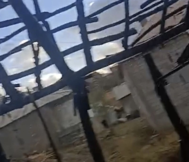 Hakkari'de odunlukta yangın çıktı