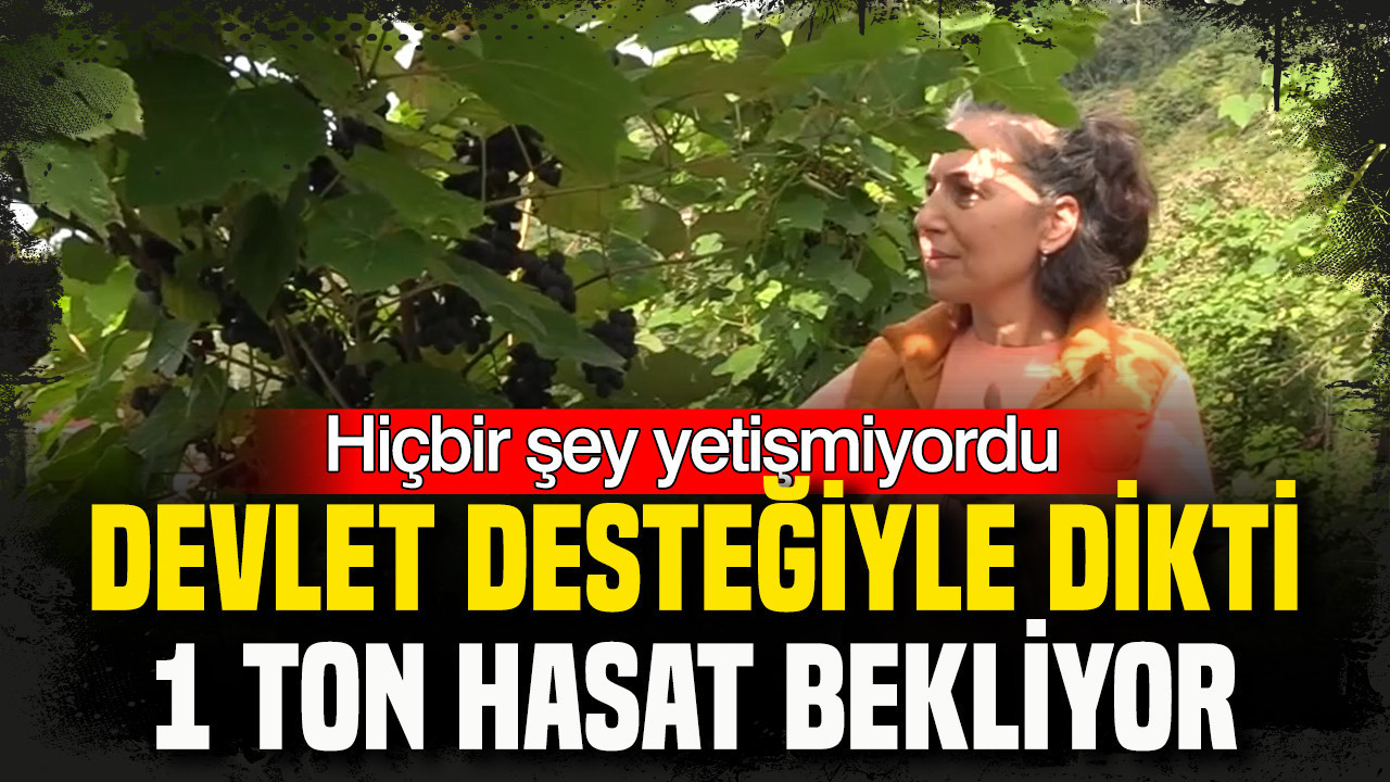 Hiçbir şey yetişmiyordu: Devlet desteğiyle dikti, 1 ton hasat bekliyor