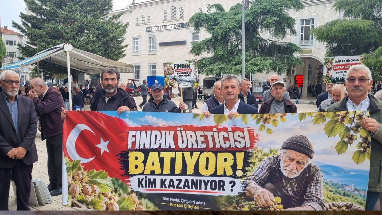 Fındık üreticisinden fiyatlara tepki: 'Emeğimizin karşılığını alamıyoruz'