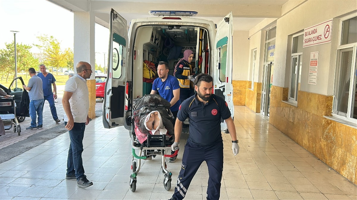 Sivas'ta ayı saldırısına uğrayan adam ağır yaralandı