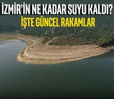 Aydın'da zincirleme kazada 12 kişi yaralandı