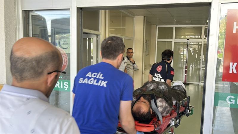 Sivas'ta ayı saldırısına uğrayan adam ağır yaralandı