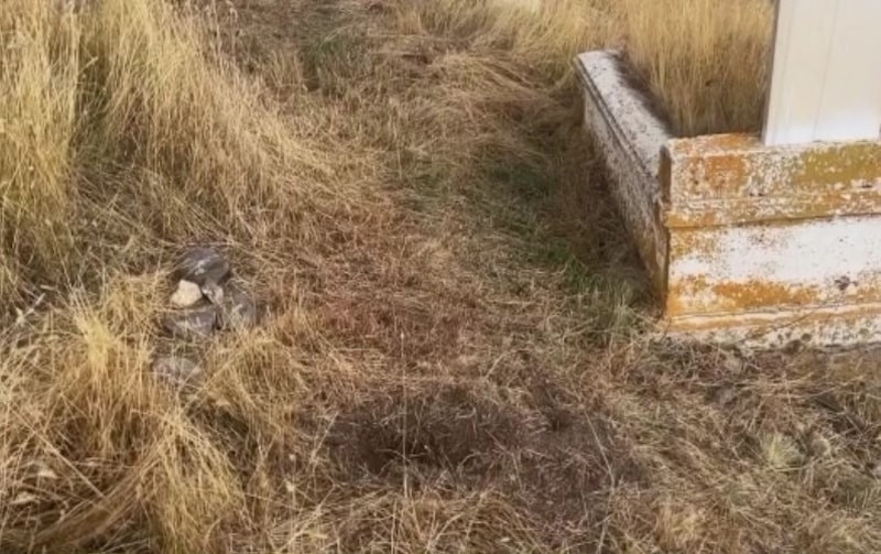 Kars'ta yeni doğan bebeğin ölümünde anne ve anneanne birbirlerini suçladı