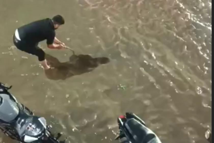 Batman'da sağanak hayatı olumsuz etkiledi: Caddeler göle döndü, ağaçlar devrildi
